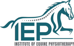 The Institute of Equine Physiotherapy