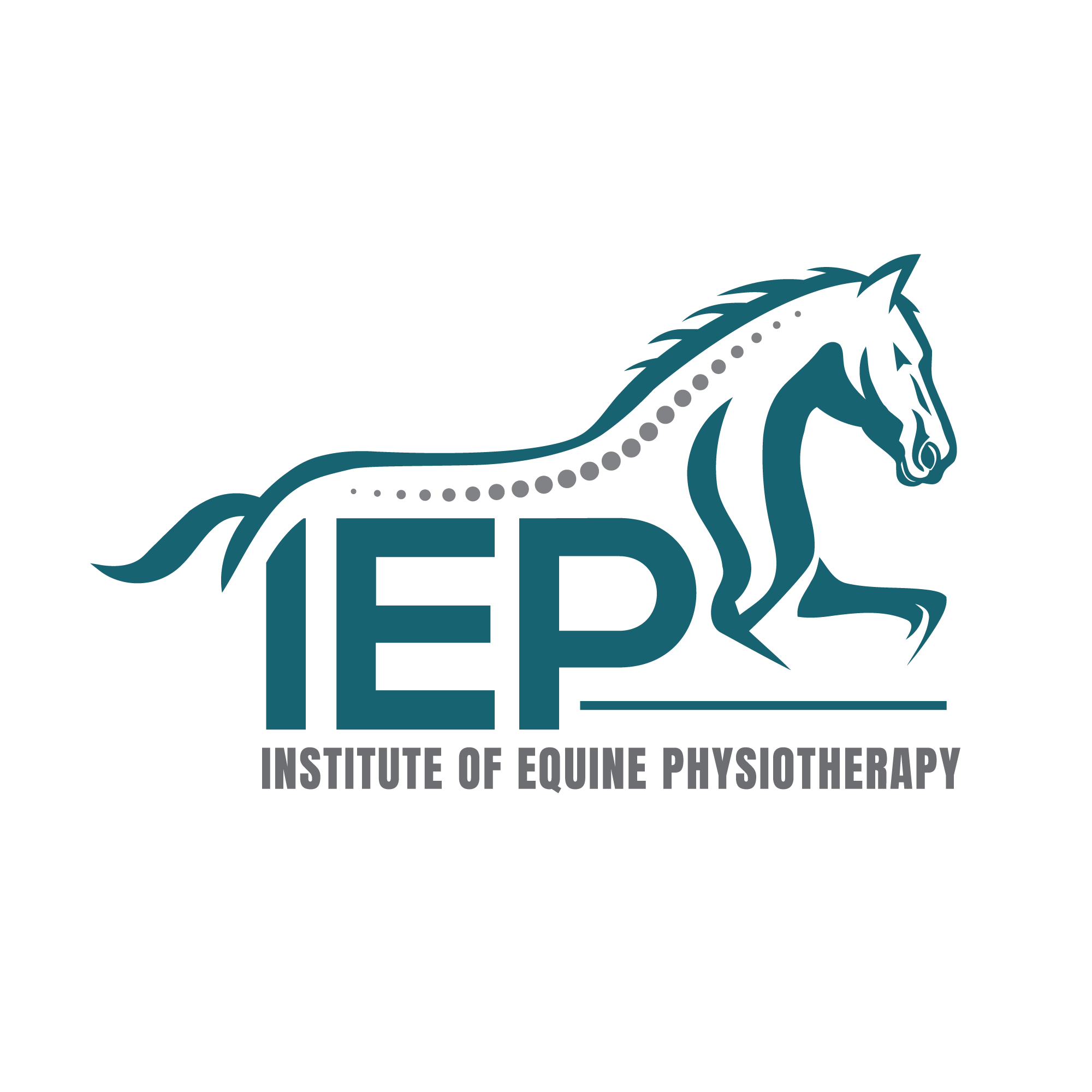 The Institute of Equine Physiotherapy