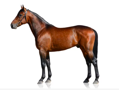 Screen Shot 2024-07-18 at 20.24.32